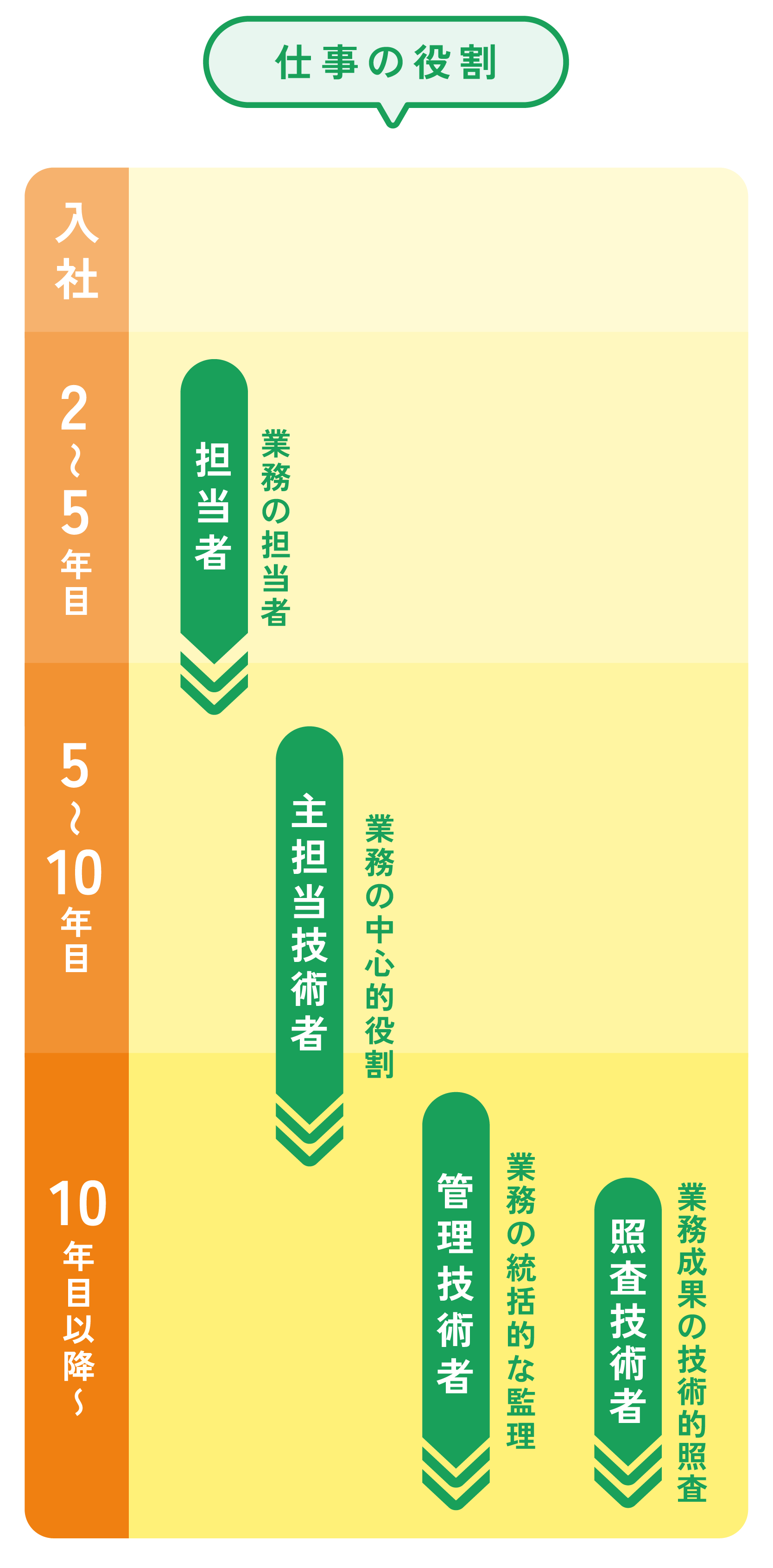 キャリアパス
