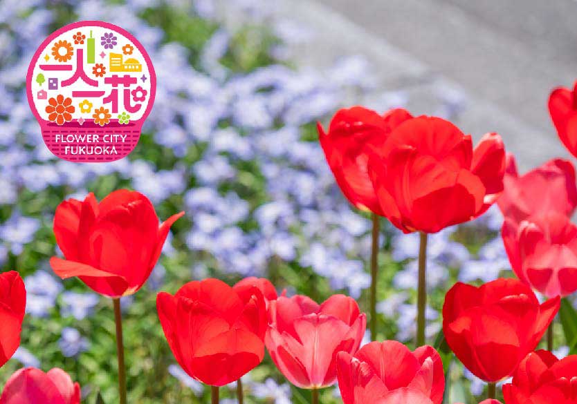 [一人一花」「一企業一花壇」運動（福岡市）